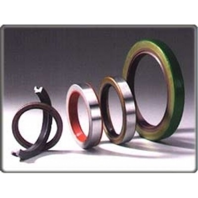 OIL SEAL - 02