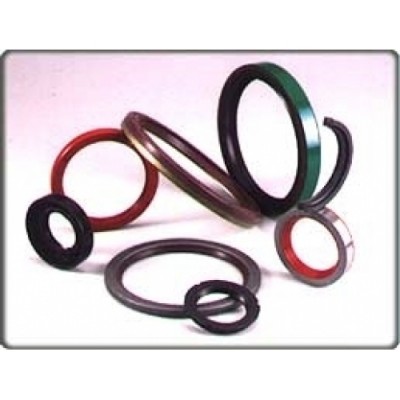 Oil Seal - 01